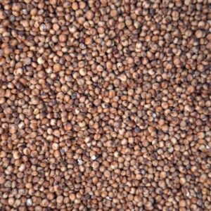 Sorgo 25 kg